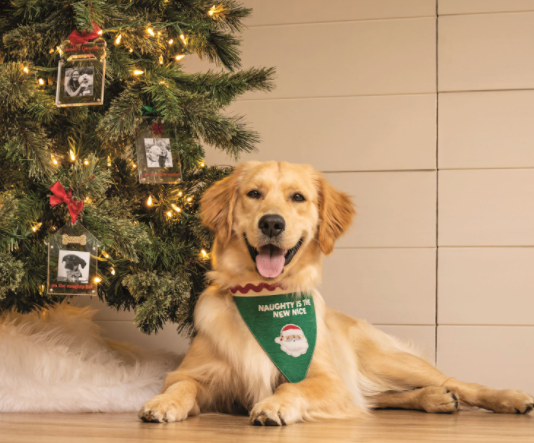 Multi Holiday Reversible Pet Bandanas