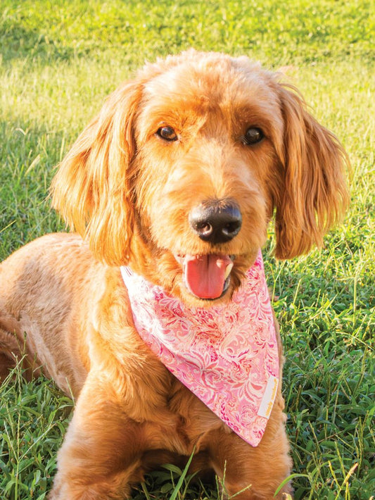 Simply Southern Pet Bandana