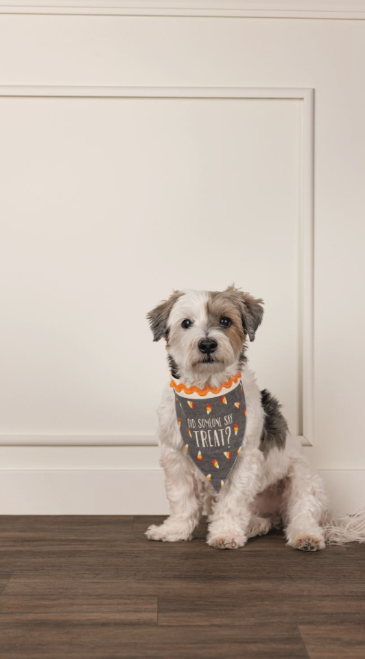 Multi Holiday Reversible Pet Bandanas